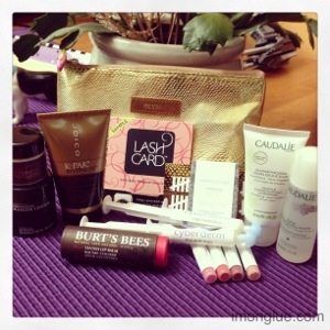 Glymm 2012 Holiday Stocking Stuffer Bag
